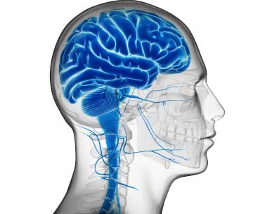 Optimize by Condition | Sports Science Lab